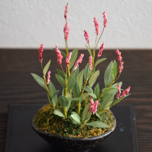 クラフト盆栽「アカマンマ」