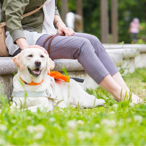日本盲導犬協会 チャリティーギフト