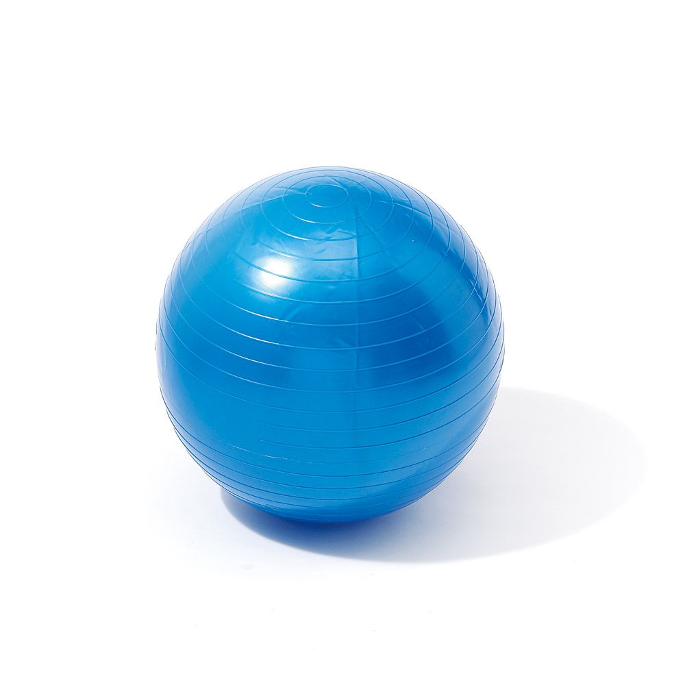 バランスボール＆歩数計