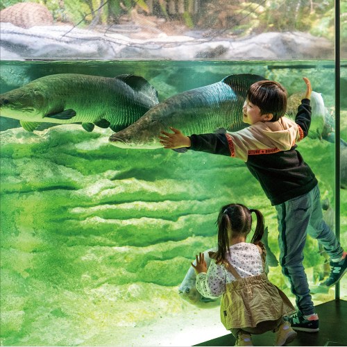 カワスイ 川崎水族館 入館チケット２名様