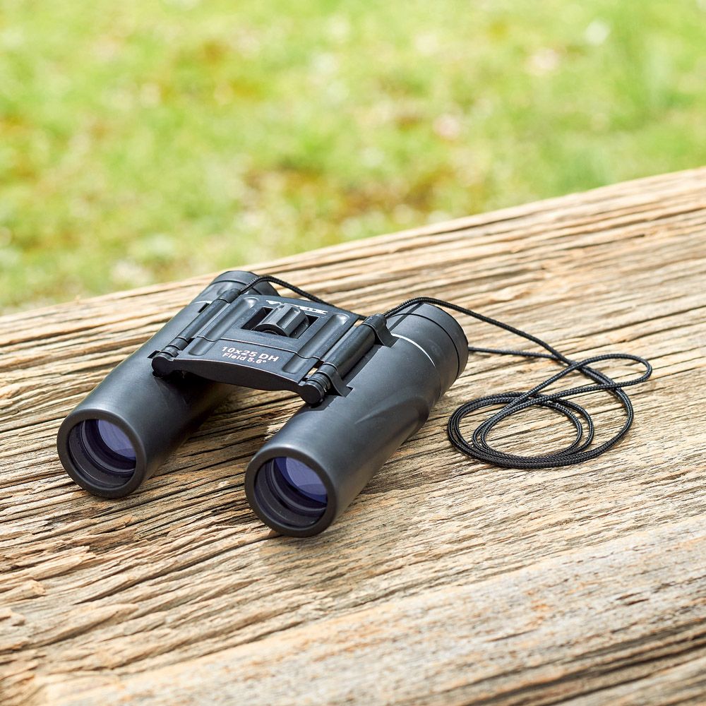 10倍双眼鏡（ケンコー）