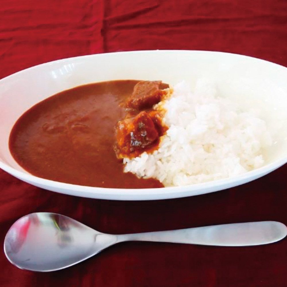 鰹だしの和風カレー１０食
