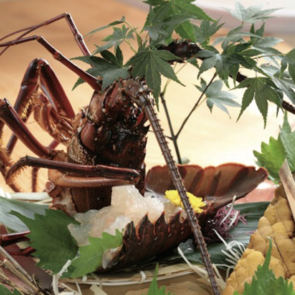 なるみ乃 薬院店夜の定食「松」お食事券２名様