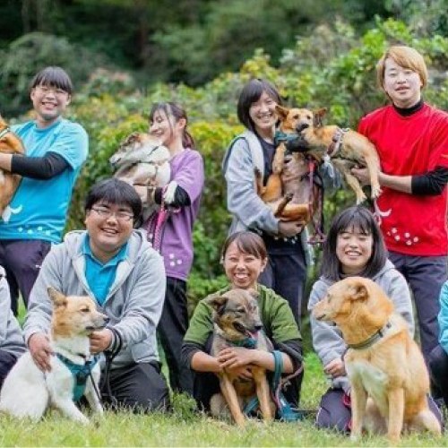 ピースウィンズ・ジャパン 保護犬事業 チャリティーギフト