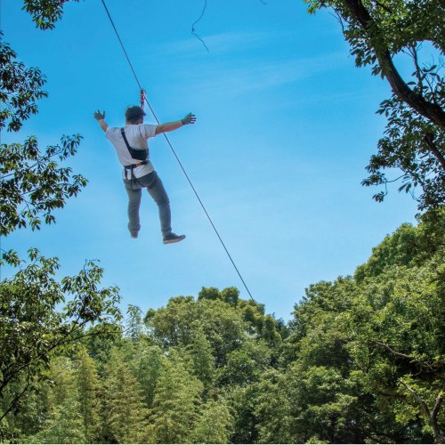 フォレストアドベンチャー・久山 トレックコース１名様/１２０分