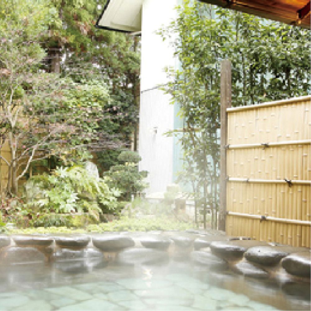 松乃湯 日帰り入浴＋昼食付 ２名様