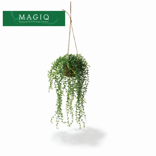 光触媒加工 観葉植物（マジック）